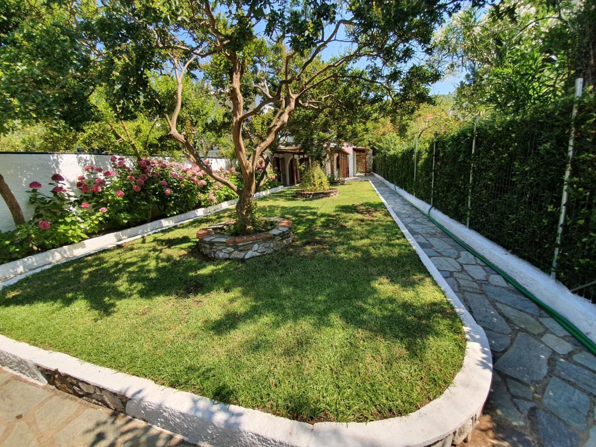 Dionisos Studios And Apts Skiathos Koukounaries Luaran gambar