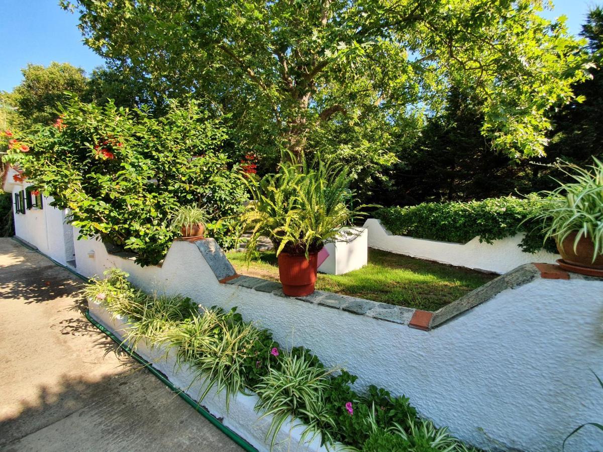 Dionisos Studios And Apts Skiathos Koukounaries Luaran gambar