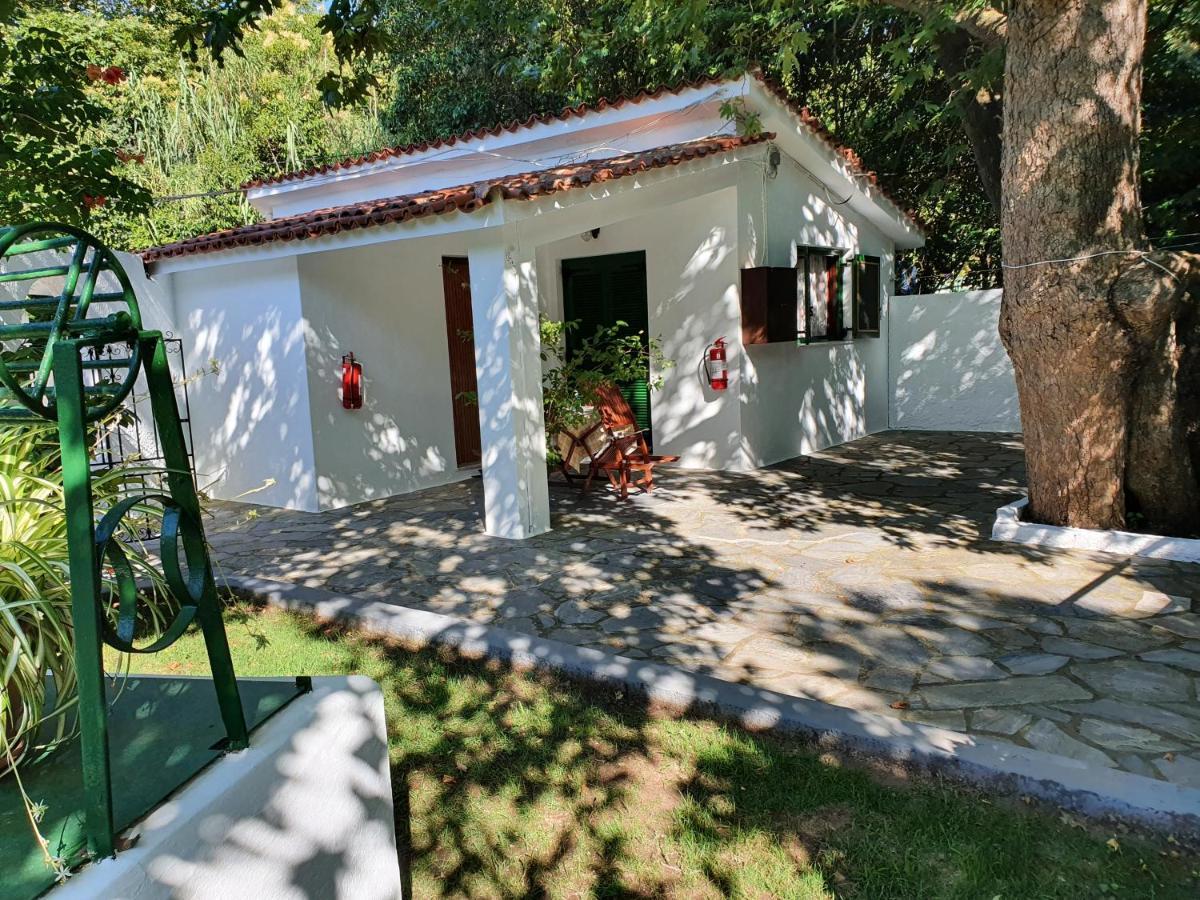 Dionisos Studios And Apts Skiathos Koukounaries Luaran gambar